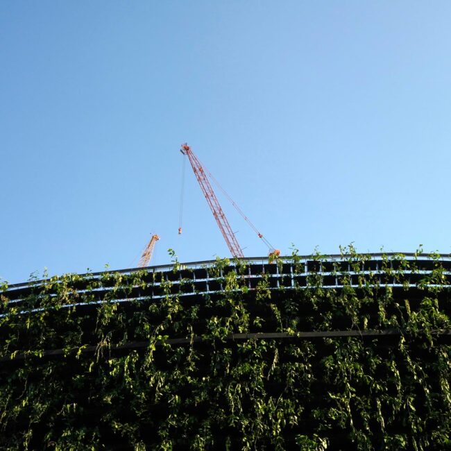 Mit Weitblick und Struktur: YCRAFT bietet nachhaltige Projektbegleitung von der Konzeption bis zur Bauaufsicht. Bauingenieur Harald Stöffelbauer steht für Qualität, Effizienz und klimabewusstes Planen im Hochbau.